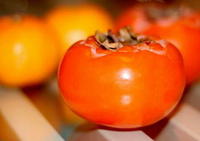 极具营养价值的柿子  你了解多少？