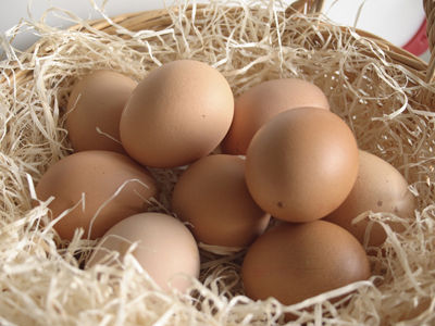 蛋壳颜色与营养价值无关
