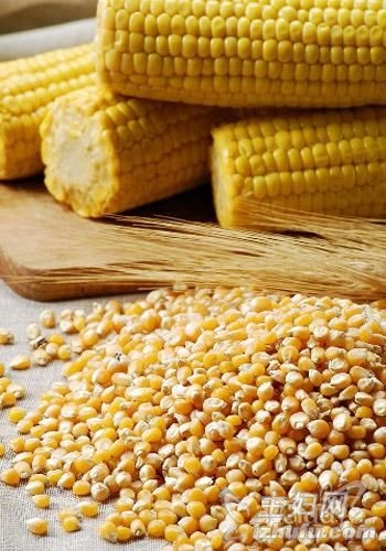 “食物黄金” 玉米抗衰又防癌