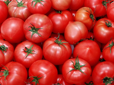  女人长寿秘诀每日吃番茄 