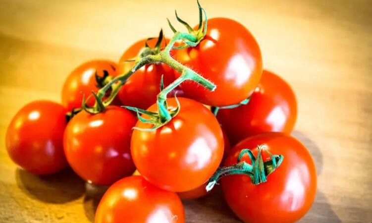 西红柿可以生吃吗