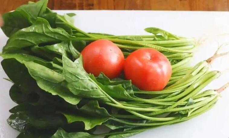 西红柿能够和菠菜一同吃吗