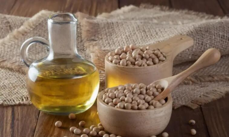 大豆油和菜籽油能够混合用吗