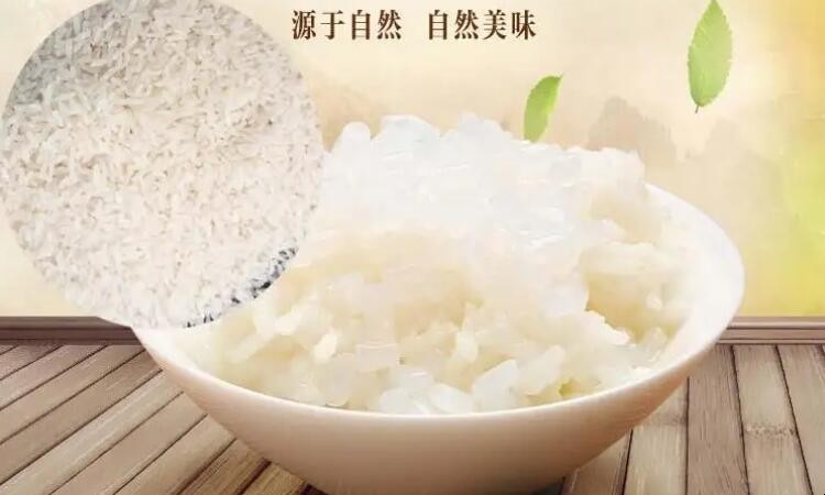 魔芋米能够长时间替代米饭吗
