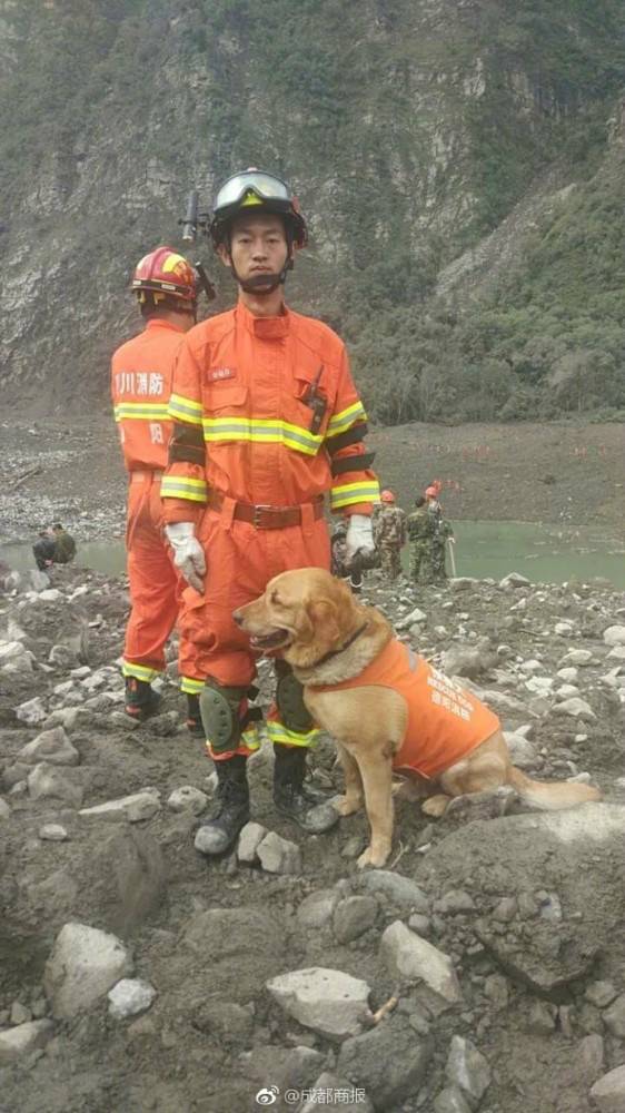 搜救队队员与搜救犬“小虎”。