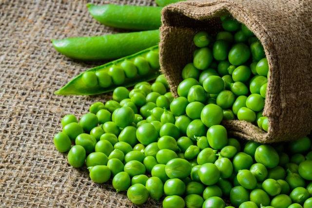 豆子的营养价值及功效|豆子的营养价值高 豌豆护眼效果佳