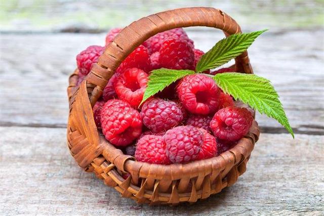 研究发现：喝蔓越莓汁减少尿路感染！