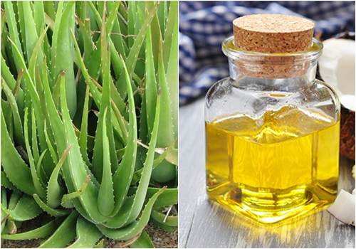 对芦荟和椰子油的神奇使用着迷：它有助于保持皮肤健康和光滑 - 照片 7。