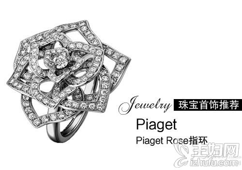 Piaget 玫瑰指环，18K白金