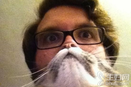 近日，各式各样的“猫咪胡须照”日前在网络引起跟风热潮。
