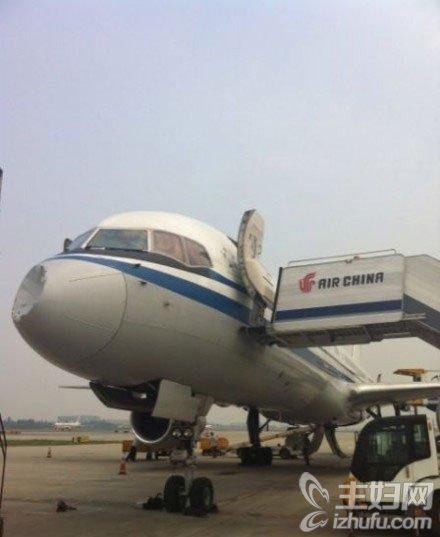 国航成都飞广州航班遭鸟击 已更换飞机重新起飞