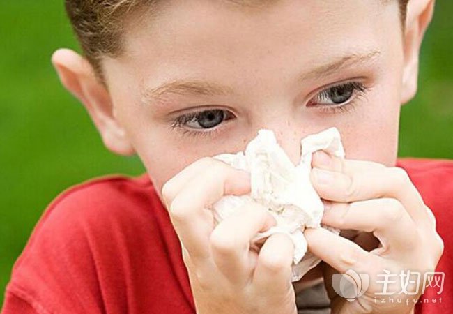 【流鼻血怎么护理】孩子流鼻血护理误区 孩子流鼻血怎么办需要注意哪些问题