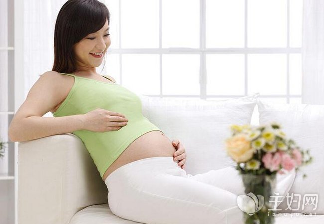 怀孕23周胎动规律吗