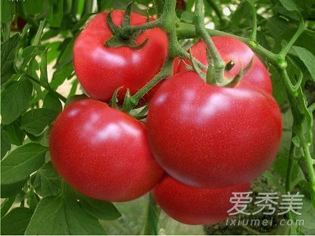 西红柿真的能祛斑吗