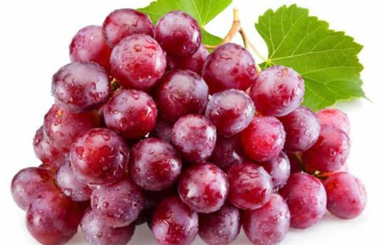 【减肥适合吃葡萄吗】吃葡萄帮助减肥的方法
