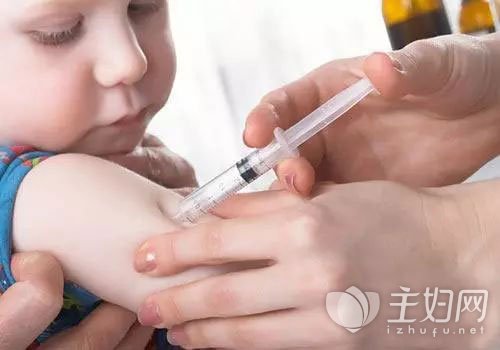 流感疫苗多少钱一针