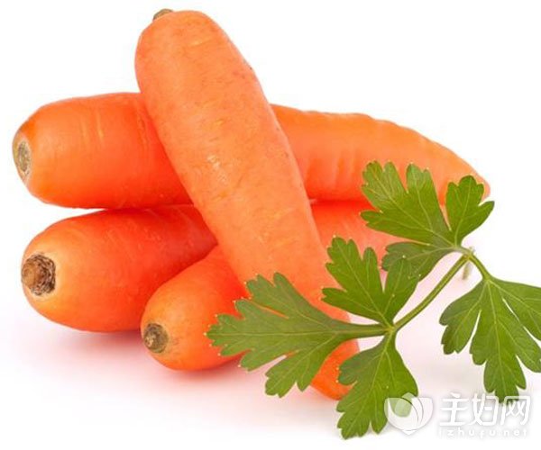 胡萝卜怎么吃最好