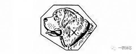 ▲瑞士国犬圣伯纳狗头的印记。